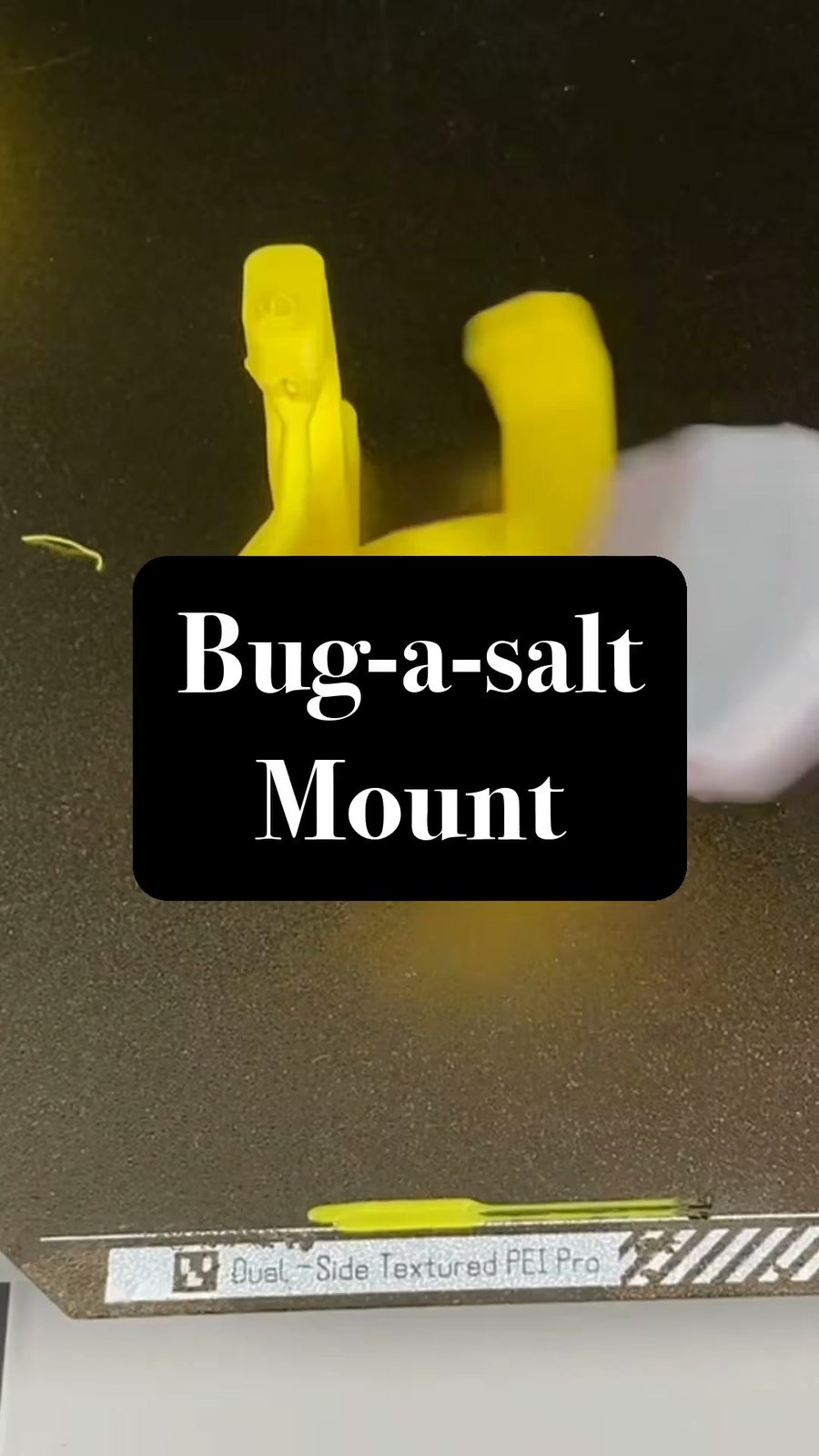 A 3D printed wall mount for your Bug-A-Salt