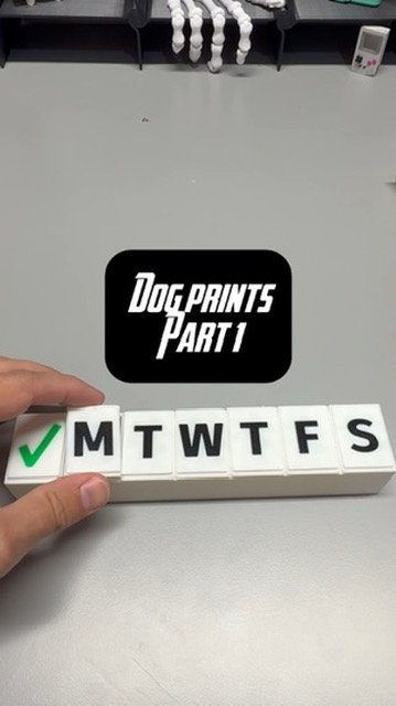 Dog Anxiety Pill Dispenser (My Dog Is Crazy — Pt 1)