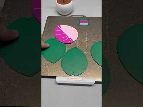 Jewel Alocasia Coaster Set