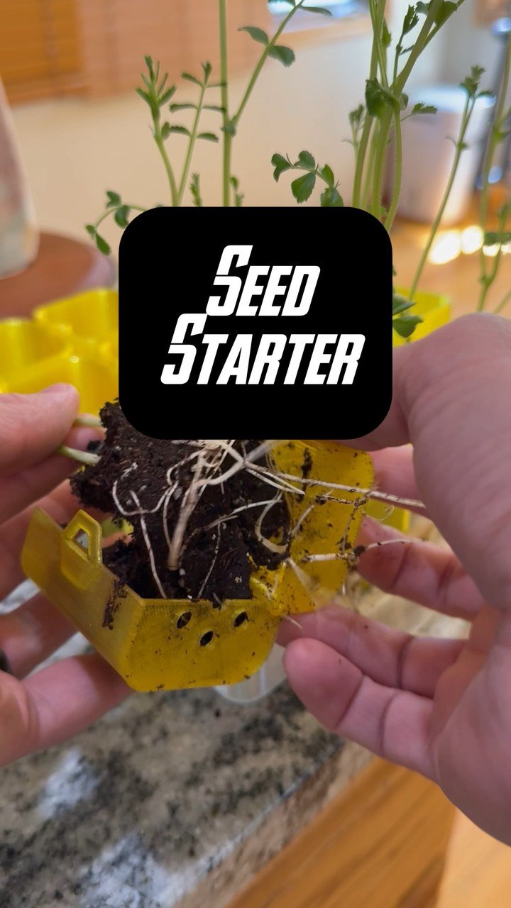 Self-Watering Seed Starter