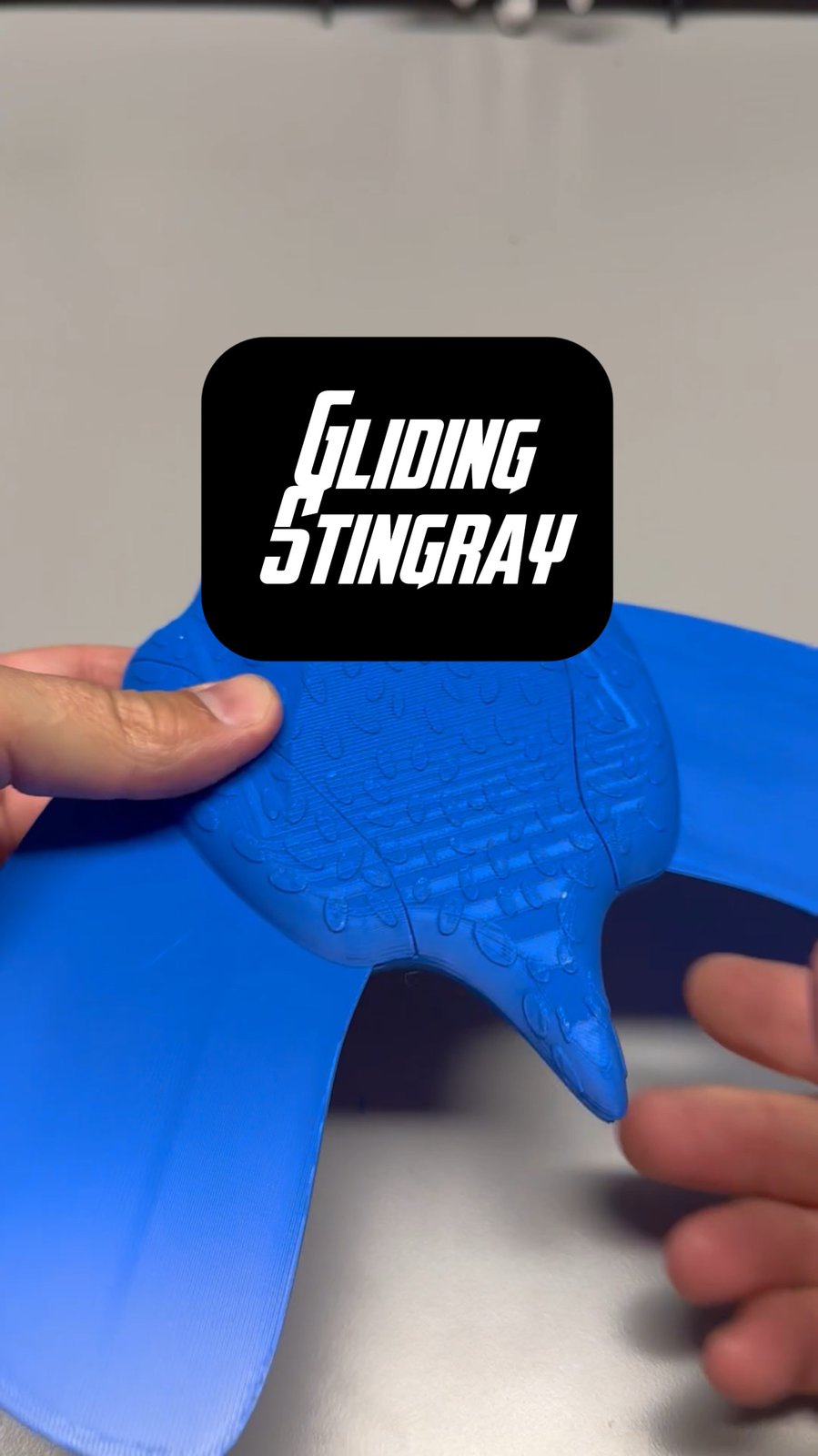 Gliding Manta Ray — Just Drop & Go