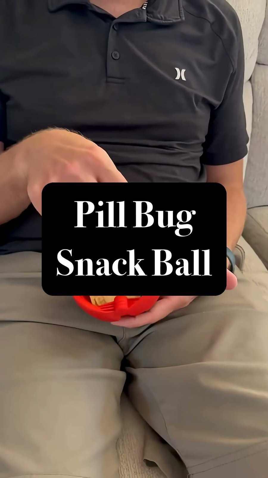 A 3D printed snack bowl that snaps shut like a pill bug